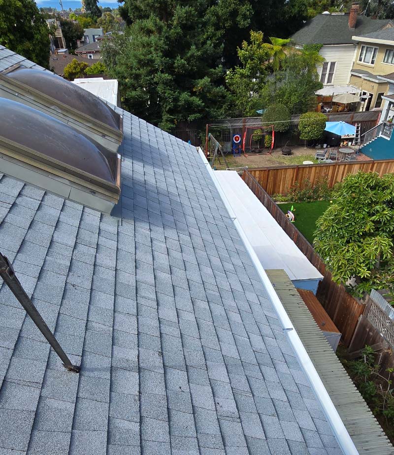 Complete shingle roof replacement featuring dual skylights and a new white aluminum gutter installation overlooking a backyard in the East Bay.